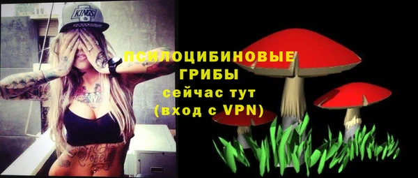 первитин Коряжма